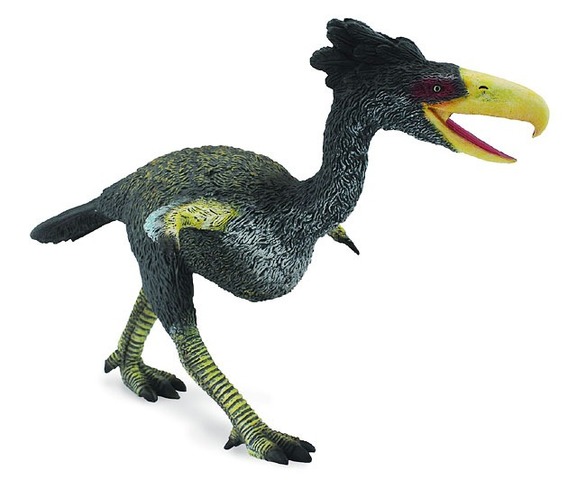 160 million years ago the first birds appeared.