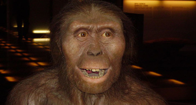 7 million years ago the first Hominins (the ancestors of apes and humans) appeared.