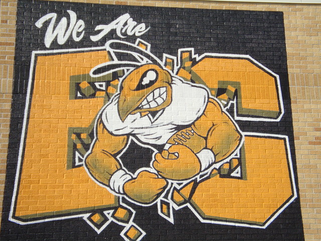 Graduate ECISD High school