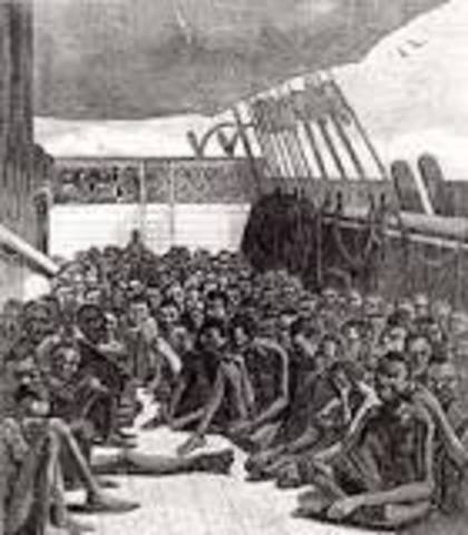 Slaves were shipped along the Middle Passage of Triangular Trade.