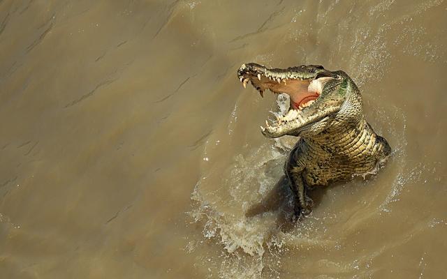 Media Coins Name "crazy croc" in response to Republican outburst outside Debate