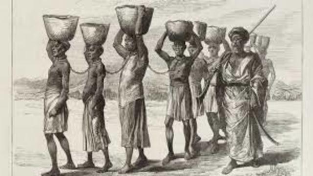 Slaves were shipped along the Middle Passage of Triangular Trade