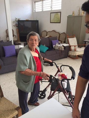 Flores, flores, flores