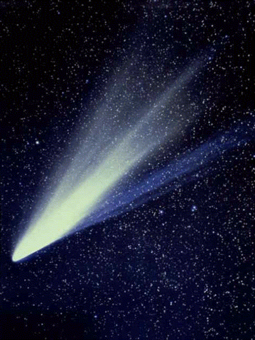 First comet coma sample return