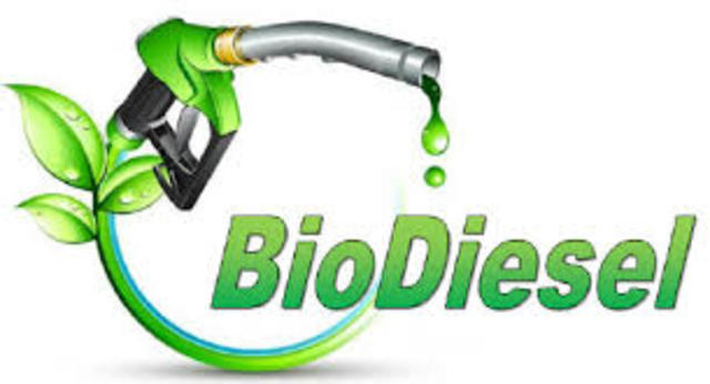 Patente Biodiesel
