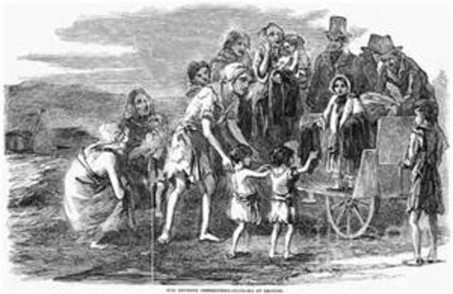 irish potato famine