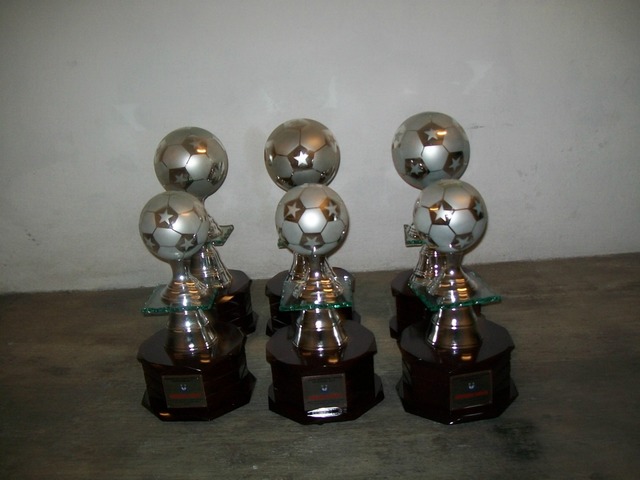 my trofies in futbol tem
