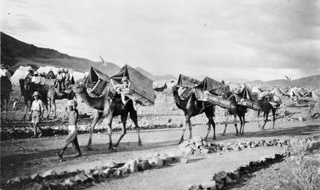 Carrying the wounded