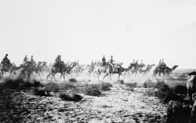 Camels in the War