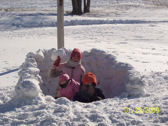 Snow fort