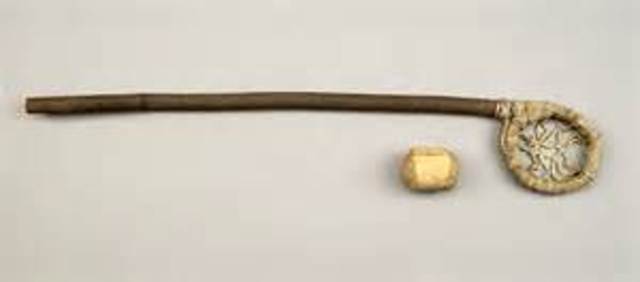 national develpment station