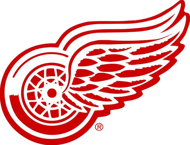 Detroit becomes the redwings