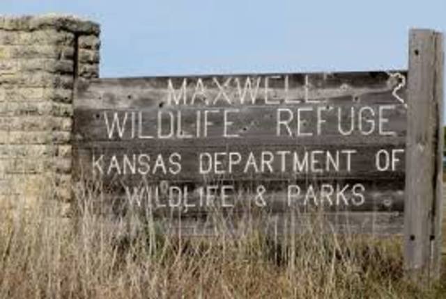 Start organization for wilderness reservation