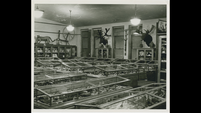 The museum is founded.