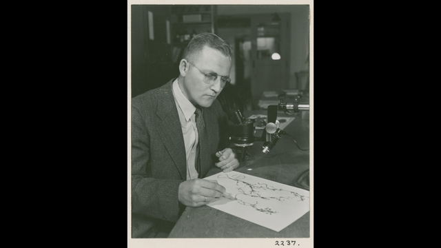 Professor William Weber at work.