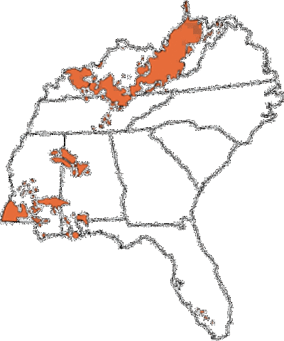 Petroleum found in NC
