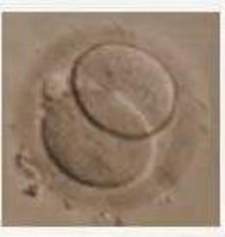 Día 1 -Segmentación