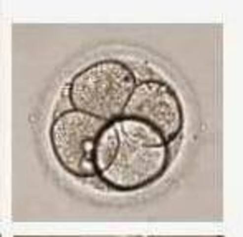 Día 2-Segmentación
