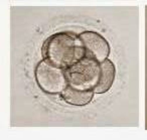 Día 3-segmentación