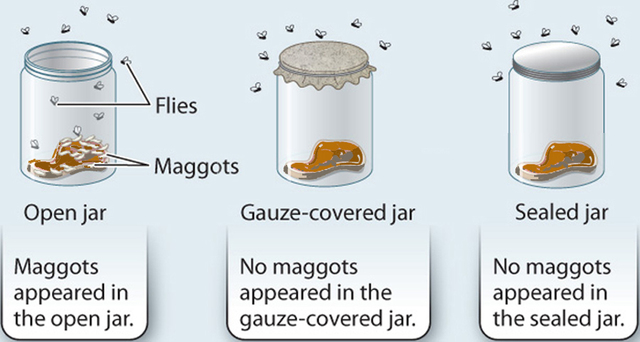 Francesco Redi Maggot Experiment