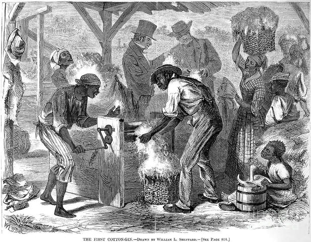 The Cotton Gin