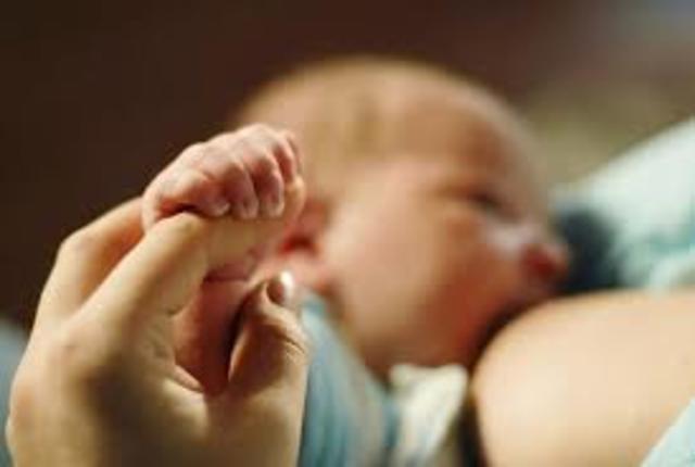 SISTEMA INMUNOLOGICO