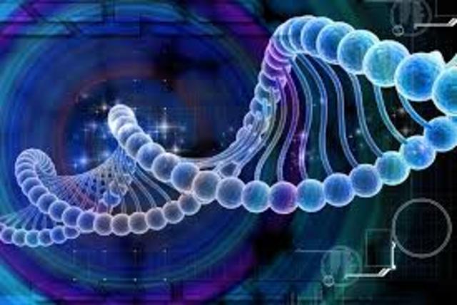 Computacion Molecular