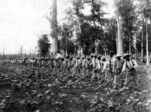 Economía sureña de Estados Unidos.