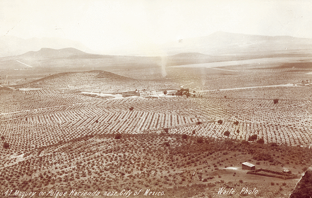 Economía rural en México.