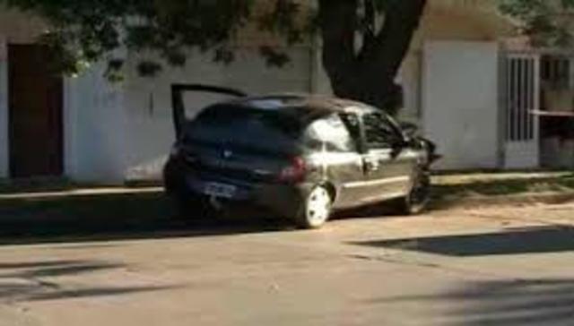 crash my car into a tree