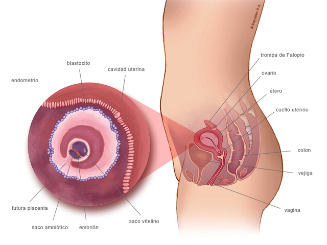 Primer mes. Semana 4. 23-NOV-15 AL 30-NOV-15