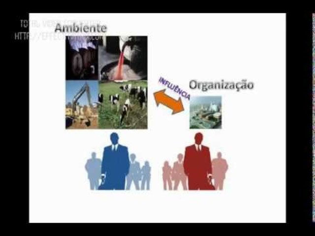 Teoría Contingencial