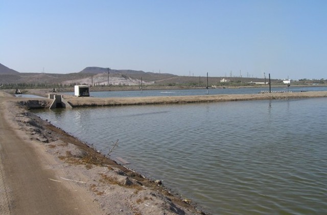 Se firma la Convención de las Naciones Unidas de lucha contra la Desertificación.