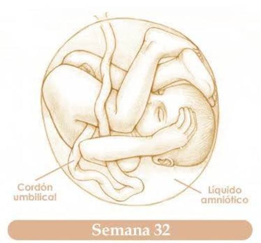 32a Semana