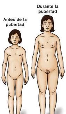 CAMBIOS EN LAS NIÑAS