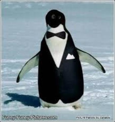 Primer trabajo como mesero