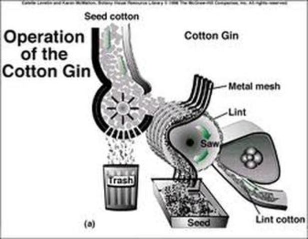 Invention of Cotton Gin