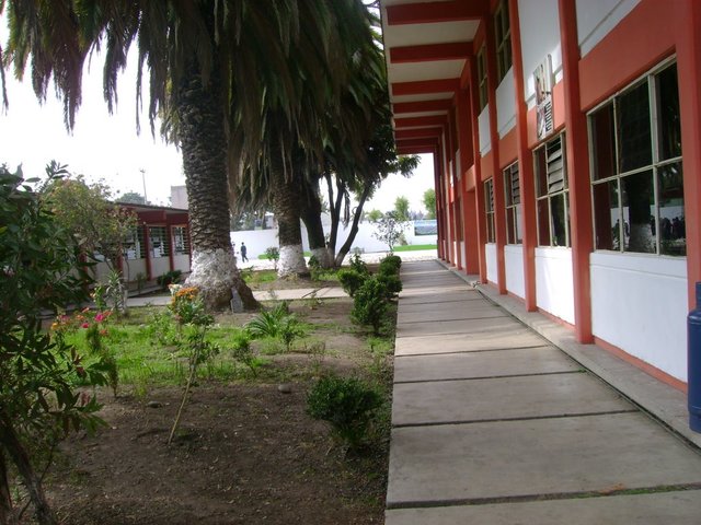 Termine la primaria.