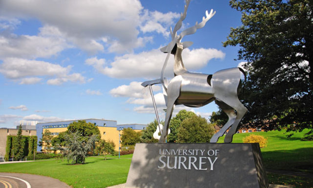 Erasmus a la University of Surrey