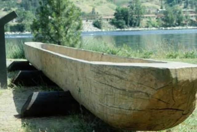 A spot where a plant or tree profoundly affected the expedition