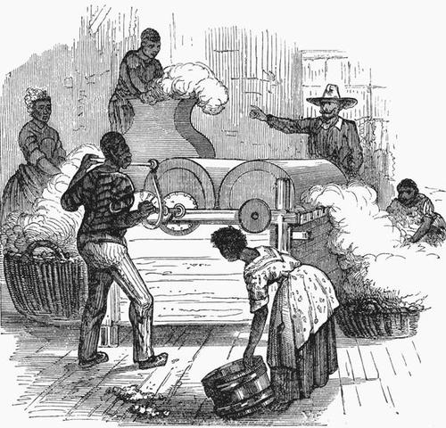 Invention of the Cotton Gin