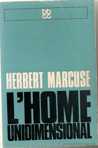 CRÍTICA: Unidimensionalitat