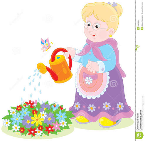 Late Adulthood - Biosocial Development