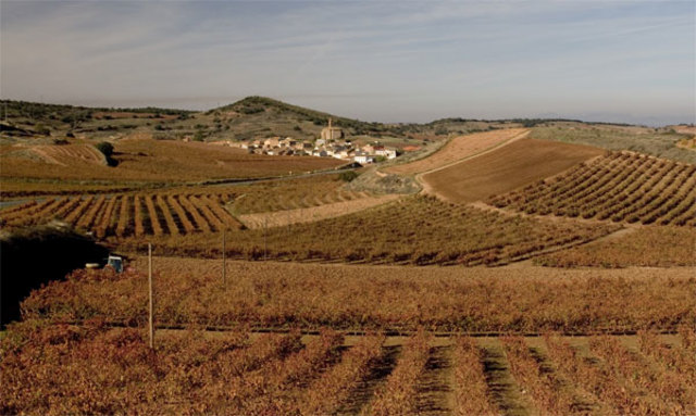 REINSTAURACIÓN DE TIERRAS
