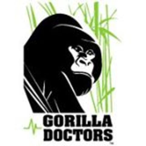 Mountain Gorilla Doctors