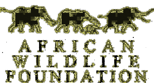 African Wildlife foundation