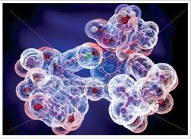 comida fusion y molecular