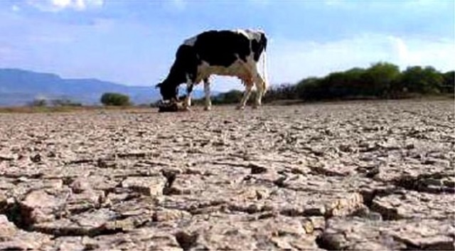 Grave sequía provoca crisis económica