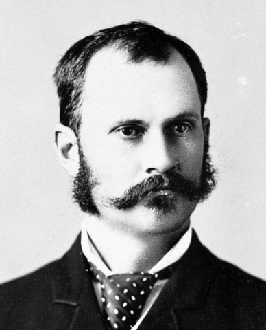 17 Jan 1893, Provisional Goverment Established