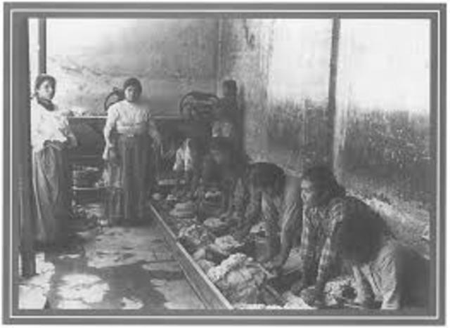 Creación de Sociedad de Socorros Mutuos del Arte de Sombrería y la Sociedad del Ramo de Sastrería para Auxilios Mutuos